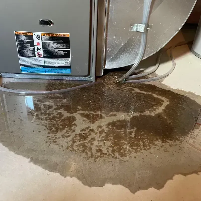 Appliance Leak Cleanup in Royalton, IL